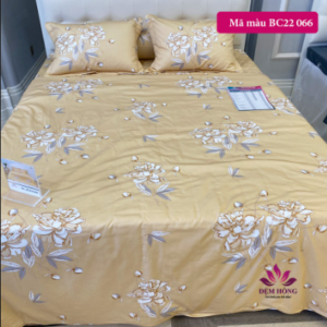 chăn Đông sông hồng cotton vỏ dòng basic